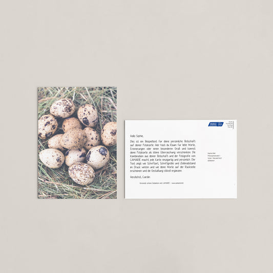 Fotokarte THEA - Wachteleier im Nest - DIN A5 Postkarte online versenden - CAMARIE